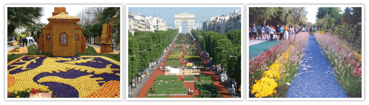 ORGACOLOR high quality colourful coloured mulch for Event Decoration