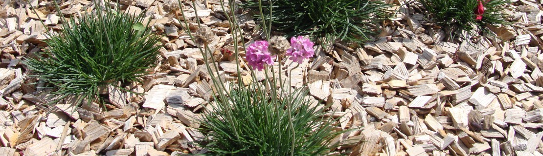 Natural Mulch