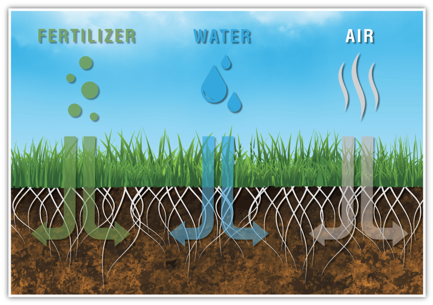 ORGANISOL : Maintenance and renovation of lawn. Topdressing for lawn.