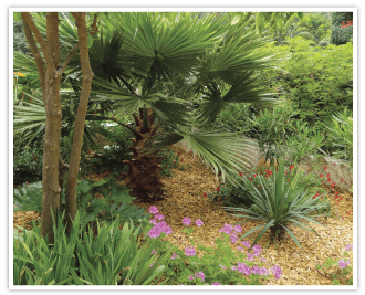 Copeo Naturel : Paillage écologique pour jardins, massifs, petites et grandes plantes.