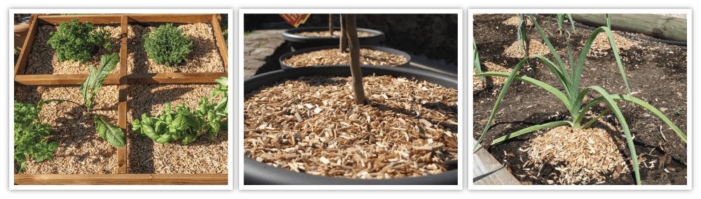 MULCHEO NATURAL long lasting small size mulch for vegetables and plants